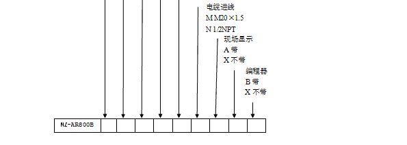 NZ-AR800ϵ_λӋ